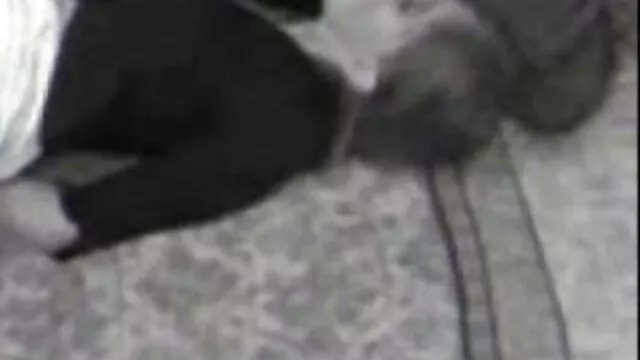 Meilleur porno sans inscription  Driach film érotique vidéo donne un coup de pied à une belle fille sur le sol de la cuisine