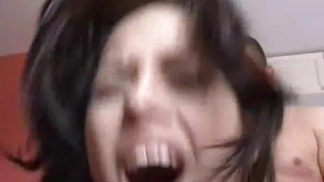 Meilleur porno sans inscription  Cloison sèche coups de pied deux veaux dans un café video erotique voyeur sur la route